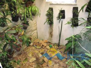 imoveis em peruibe - imoveis praia mar